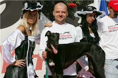 2-Mount_Cappucine-s_Jamaica_Secret_Greyhound_Race_CGDF_.jpg