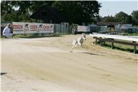 Czech_Greyhound_Racing_Federation_NQ1M8962.JPG