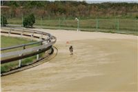 Czech_Greyhound_Racing_Federation_NQ1M8990.JPG