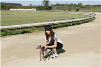 Czech_Greyhound_Racing_Federation_NQ1M9004.JPG