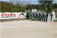 Czech_Greyhound_Racing_Federation_NQ1M9017.JPG