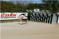 Czech_Greyhound_Racing_Federation_NQ1M9022.JPG