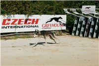 Czech_Greyhound_Racing_Federation_NQ1M9023.JPG