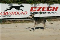 Czech_Greyhound_Racing_Federation_NQ1M9025.JPG