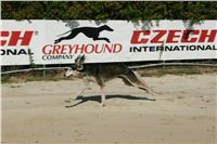 Czech_Greyhound_Racing_Federation_NQ1M9026.JPG