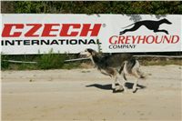 Czech_Greyhound_Racing_Federation_NQ1M9027.JPG
