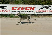 Czech_Greyhound_Racing_Federation_NQ1M9028.JPG