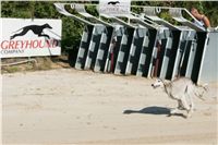 Czech_Greyhound_Racing_Federation_NQ1M9029.JPG