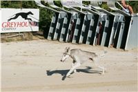 Czech_Greyhound_Racing_Federation_NQ1M9030.JPG