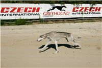 Czech_Greyhound_Racing_Federation_NQ1M9033.JPG