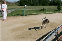 Czech_Greyhound_Racing_Federation_NQ1M9044.JPG
