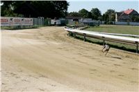 Czech_Greyhound_Racing_Federation_NQ1M9067.JPG