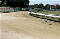 Czech_Greyhound_Racing_Federation_NQ1M9067.JPG