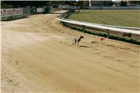 Czech_Greyhound_Racing_Federation_NQ1M9081.JPG