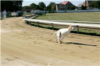 Czech_Greyhound_Racing_Federation_NQ1M9104.JPG