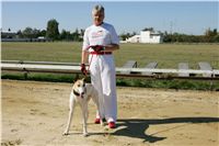 Czech_Greyhound_Racing_Federation_NQ1M9114.JPG