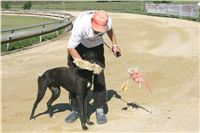Czech_Greyhound_Racing_Federation_NQ1M9121.JPG