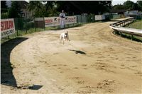 Czech_Greyhound_Racing_Federation_NQ1M9131.JPG