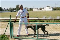 Czech_Greyhound_Racing_Federation_NQ1M9163.JPG