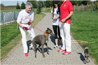 Czech_Greyhound_Racing_Federation_NQ1M9164.JPG