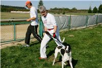Czech_Greyhound_Racing_Federation_NQ1M9169.JPG