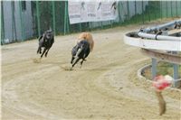 chrti_trenink_8-10-2011_Czech_Greyhound_Racing_Federation_NQ1M0033.JPG