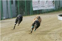chrti_trenink_8-10-2011_Czech_Greyhound_Racing_Federation_NQ1M0034.JPG
