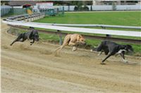 chrti_trenink_8-10-2011_Czech_Greyhound_Racing_Federation_NQ1M0041.JPG