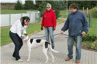 chrti_trenink_8-10-2011_Czech_Greyhound_Racing_Federation_NQ1M0065.JPG