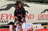 Miss_greyhound_Czech_Greyhound_Racing_Federation_DSC_0247.jpg