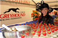 Welcome_Drink_Czech_Greyhound_Racing_Federation_DSC09117.jpg