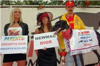 Winner_Czech_Greyhound_Racing_Federation_DSC09244.jpg