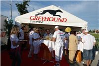 Free_Raut_Czech_Greyhound_Racing_Federation_DSC06763.JPG