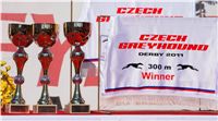 Czech_Greyhound_Derby_2011_Scooter_Race_DSC02284.JPG