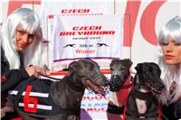 Czech_Greyhound_Derby_2011_Scooter_Race_DSC02302-v.jpg