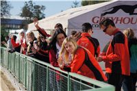 0028_Czech_Derby_Czech_Greyhound_Racing_Federation_DSC02374.JPG