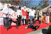 0034_Czech_Derby_Czech_Greyhound_Racing_Federation_IMG_0348.JPG