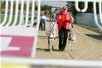 0036_Czech_Derby_Czech_Greyhound_Racing_Federation_NQ1M0166.JPG