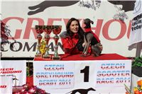 0058_Czech_Derby_Ceska_Greyhound_Dostihova_Federace_IMG_0318.jpg