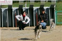 0060_Czech_Derby_Czech_Greyhound_Racing_Federation_NQ1M0524.JPG