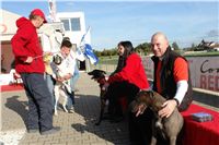 0068_Czech_Derby_Czech_Greyhound_Racing_Federation_DSC00236.JPG