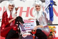 1_Czech_Greyhound_Derby_2011_Scooter_Race_IMG_0269.JPG