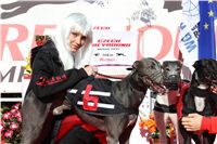 0001_Czech_Derby_300m_Czech_Greyhound_Racing_Federation_IMG_0127.JPG