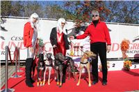 0004a_Czech_Derby_300m_Czech_Greyhound_Racing_Federation_IMG_0104.JPG