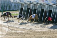 0016_Czech_Derby_300m_Czech_Greyhound_Racing_Federation_NQ1M0003.JPG