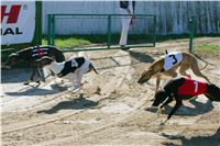 0020_Czech_Derby_300m_Czech_Greyhound_Racing_Federation_NQ1M0007.JPG