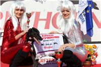 0032_Czech_Derby_300m_Czech_Greyhound_Racing_Federation_IMG_0269.JPG