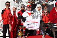 0039_Czech_Derby_300m_Czech_Greyhound_Racing_Federation_IMG_0239.JPG