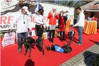 0048_Czech_Derby_525m_Czech_Greyhound_Racing_Federation_IMG_0341.JPG