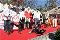 0049_Czech_Derby_525m_Czech_Greyhound_Racing_Federation_IMG_0348.JPG